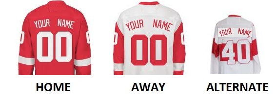 (image for) DETROIT Pro Hockey Number Kit - Click Image to Close